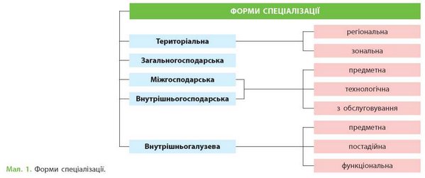 форми спеціалізації ринку праці форми спеціалізації ринку праці